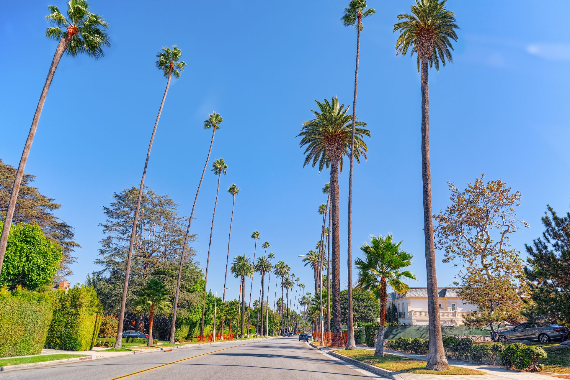 Beverly Park